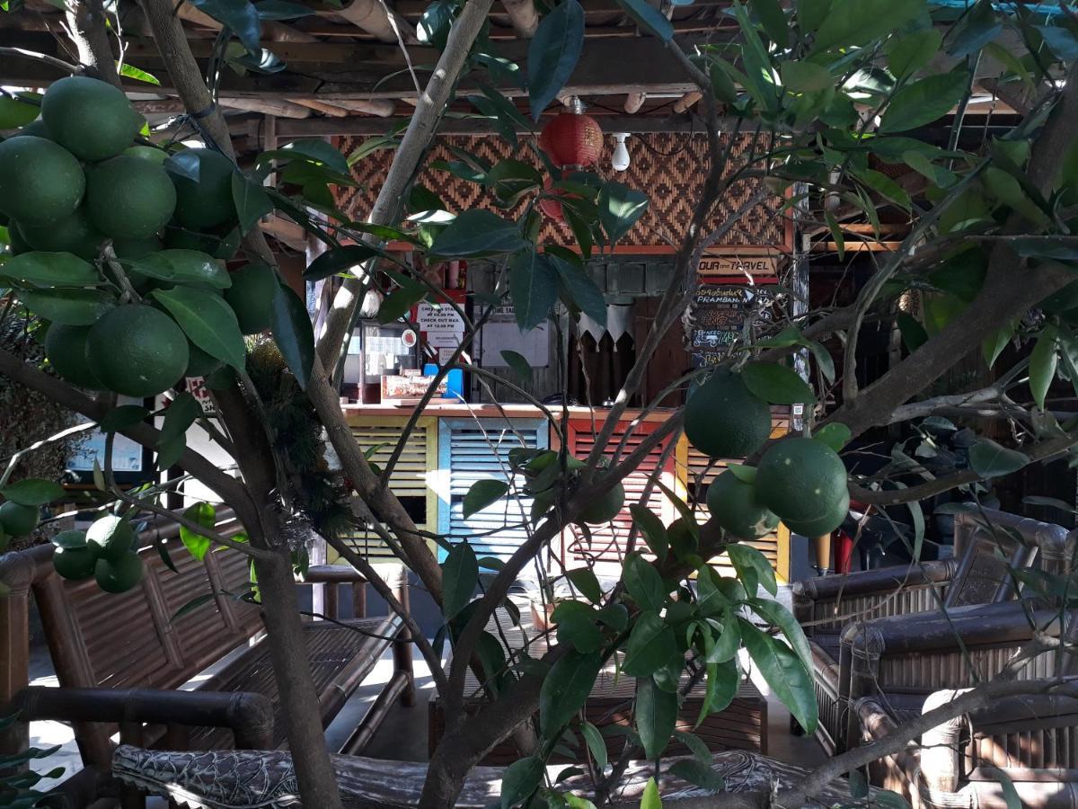 Arjuna Garden Homestay Джокьякарта Экстерьер фото